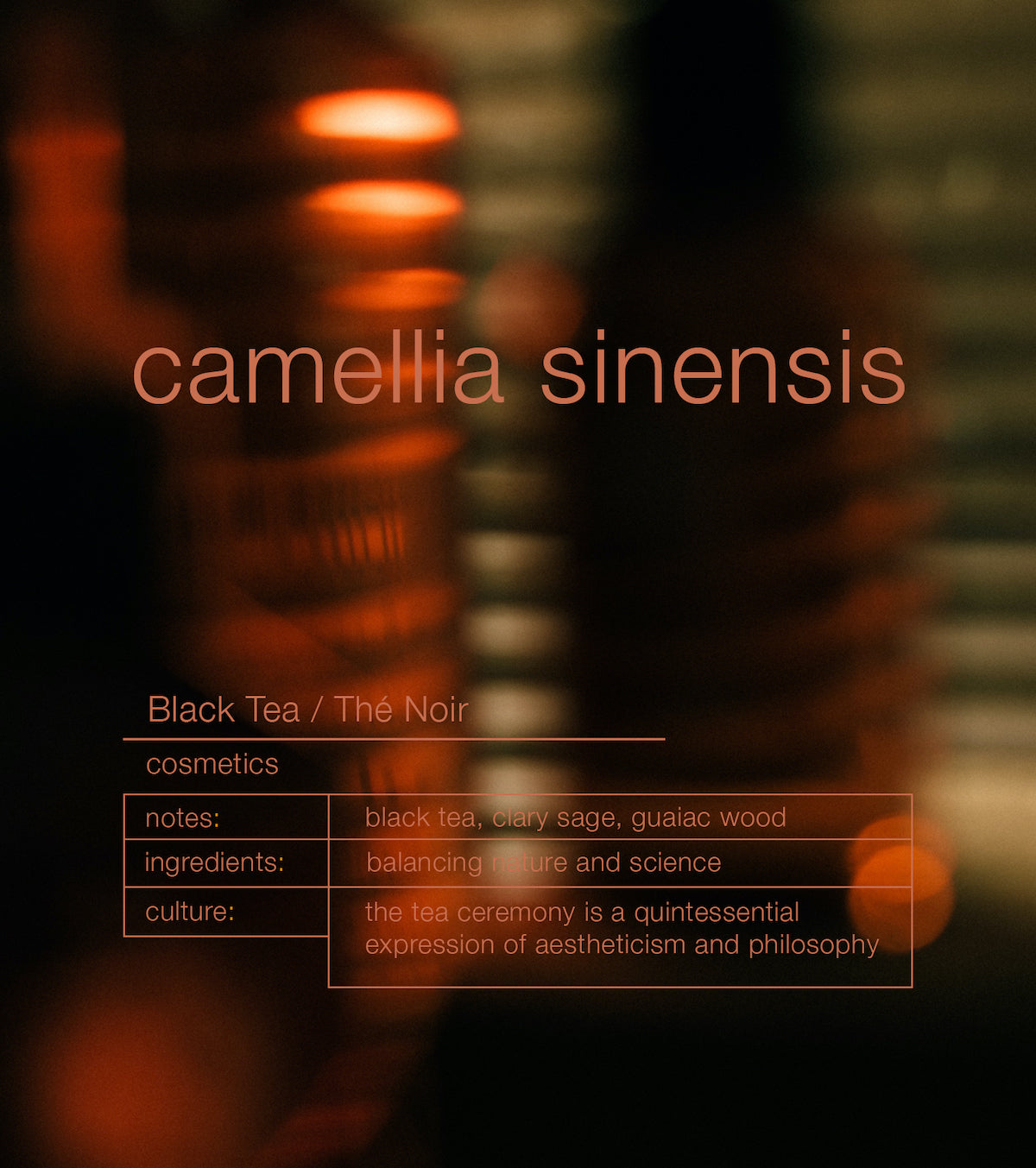 Camellia Sinensis