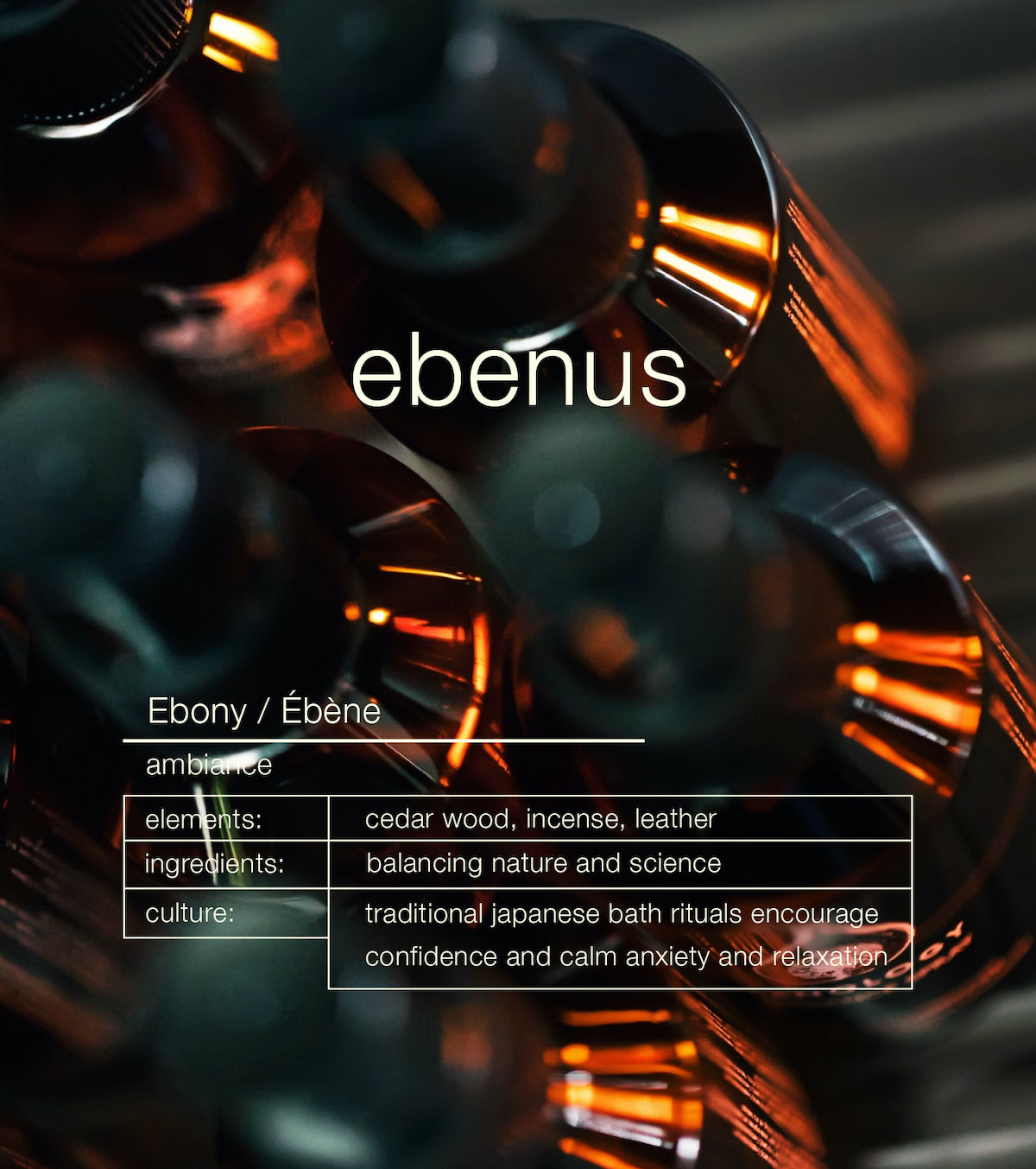 Ebenus
