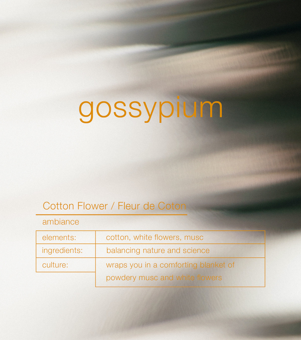 Gossypium