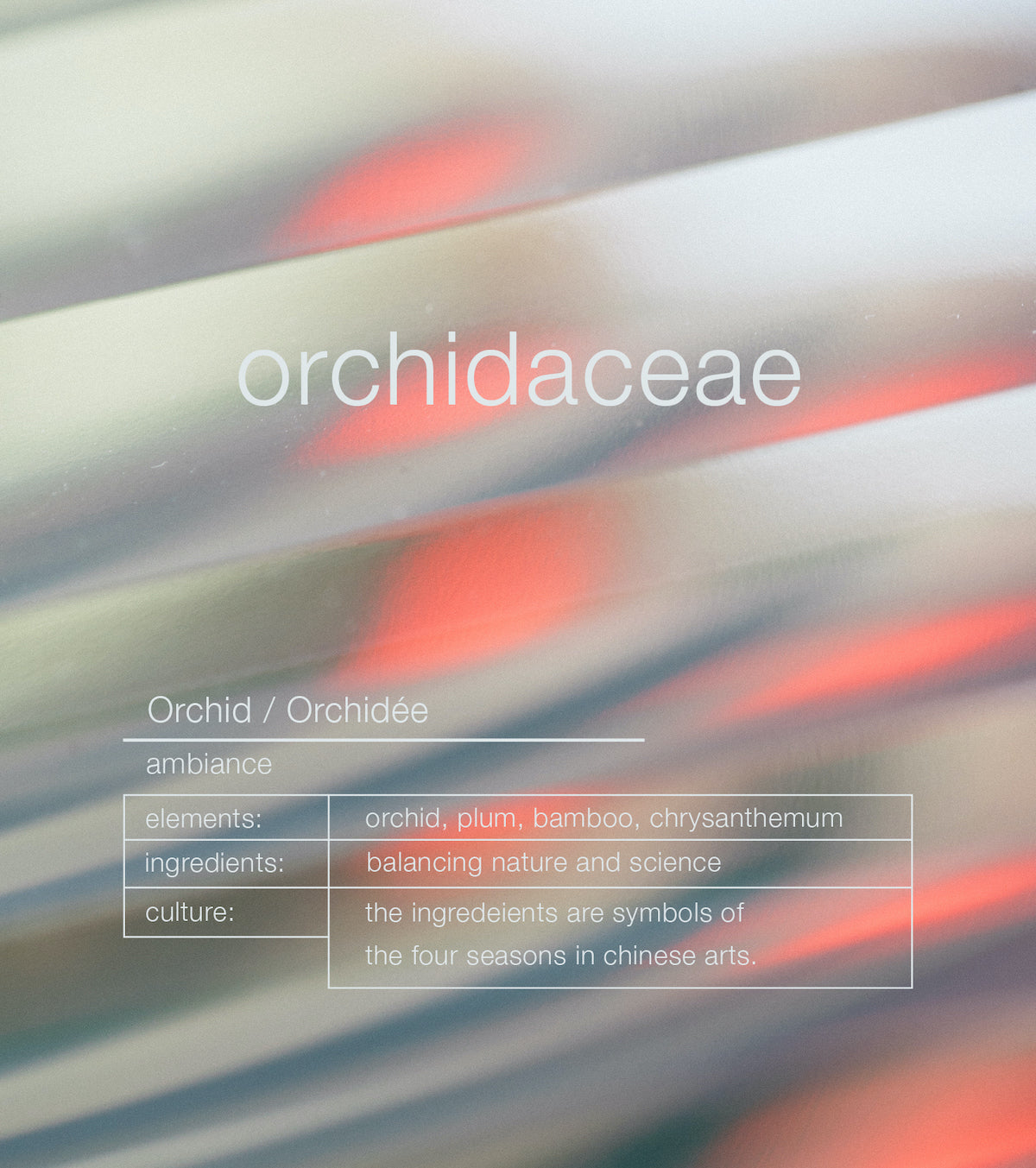 Orchidaceae