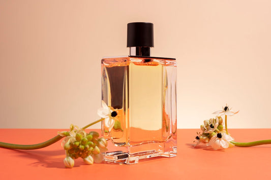 Explore Best Home Fragrances in Dubai: Elevate Your Space with The Scent Lab