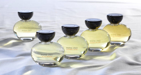 Anima Vinci Perfume: Redefining Elegance and Sophistication