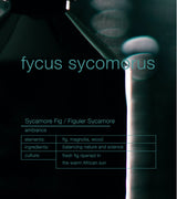 Fycus Sycomorus