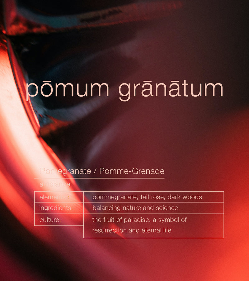 Pomum Granatum